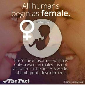 31408379_10213779151106052_4008321384823390208_n